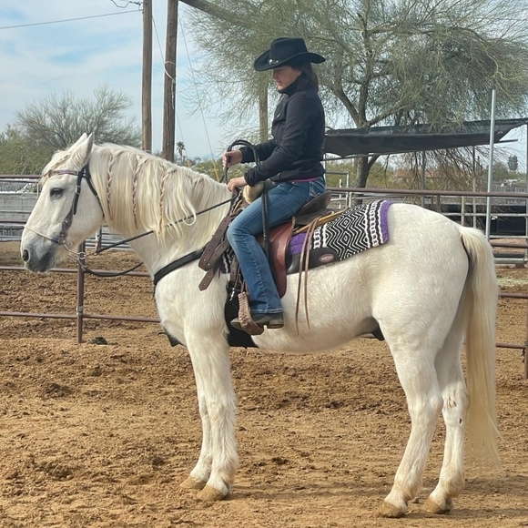 Meet your Posher, Nicole - Picture 2 of 2